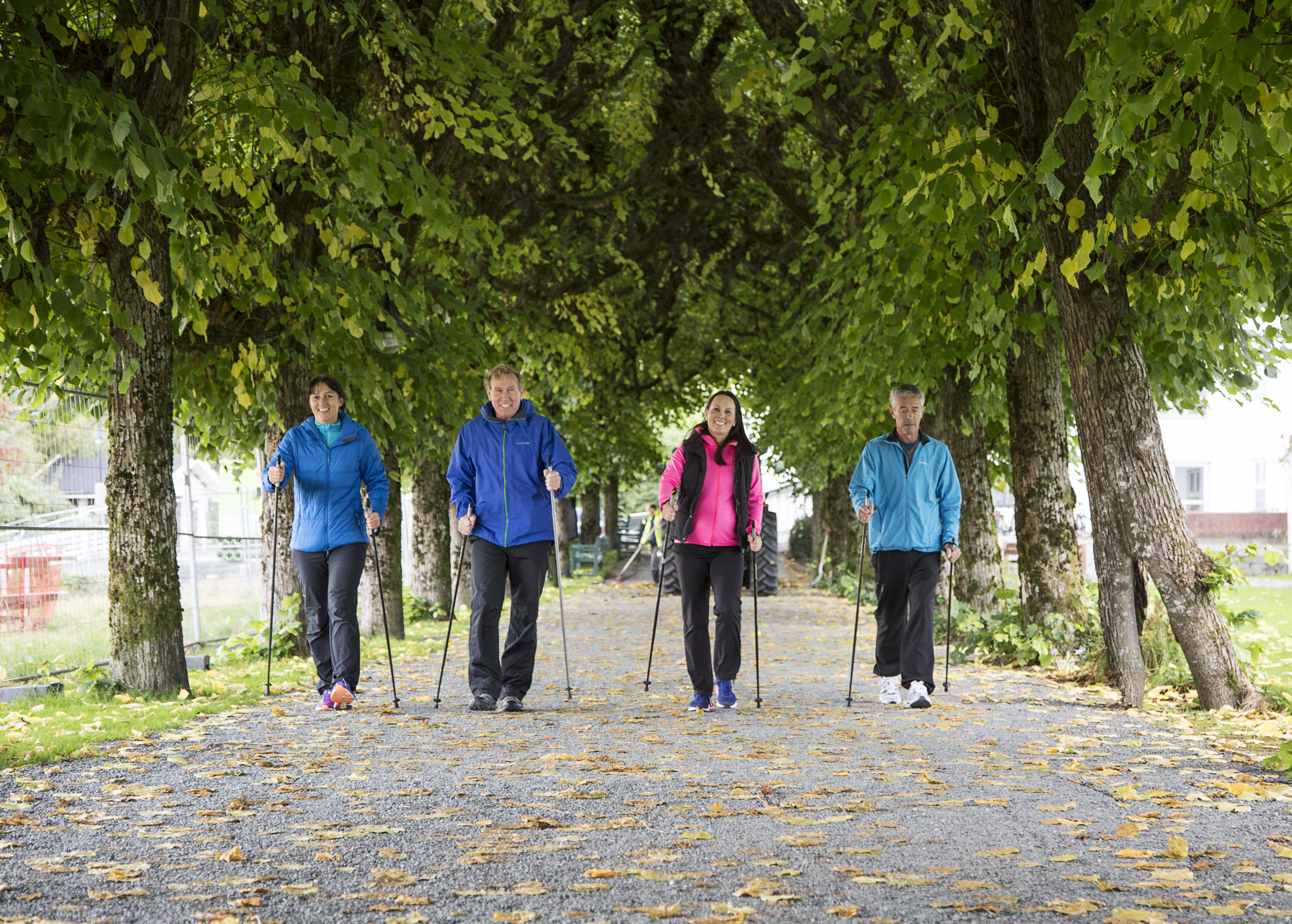 Regionalt Kompetansesenter For Habilitering Og Rehabilitering - Helse ...